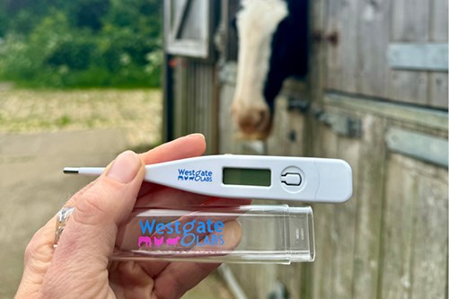 Westgate Labs Digital Thermometer