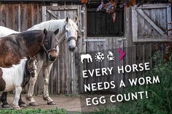 Every Horse Needs a Worm Egg Count